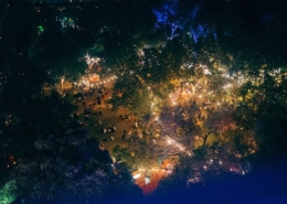 Creating Organisational Transformations