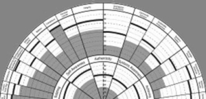 theleadershipcircle-300x144 Executive Coaching