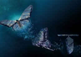 Flying butterfly