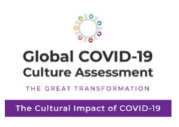 cultural values assessment