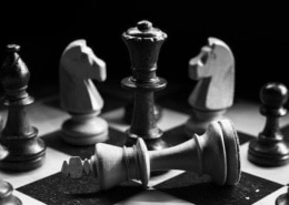leadership development