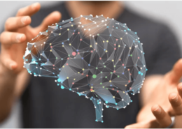 herrmann brain dominance model