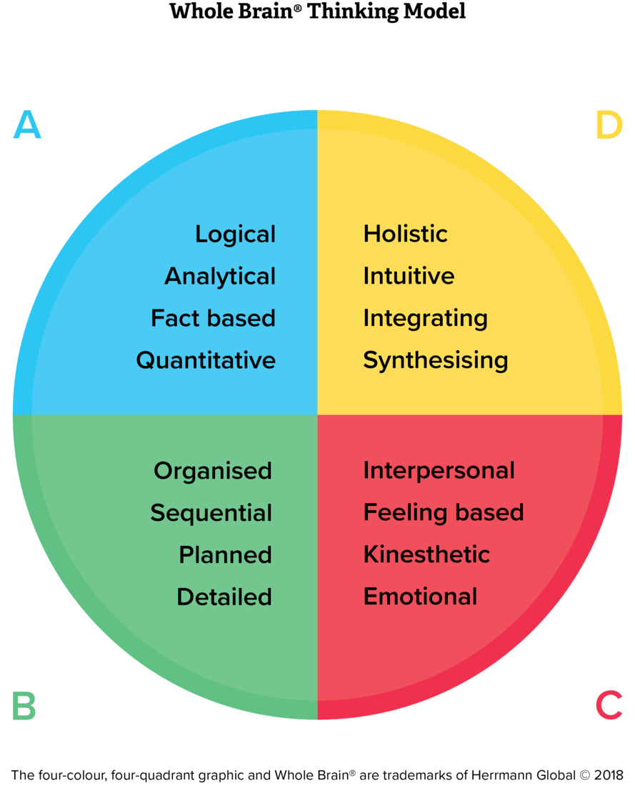 Personality Sphere HBDI® vs DiSC®: Choosing the Right Personality Assessment