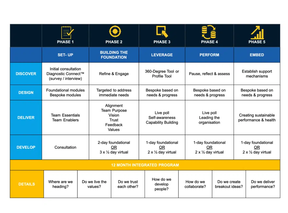 Five-phase leadership program over 12 months: setup, foundation, leverage, performance, embed
